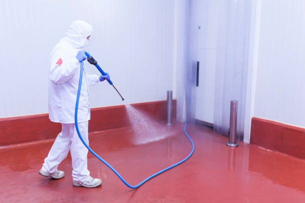 Best Commercial Pressure Washing in Buchanan Dam, TX