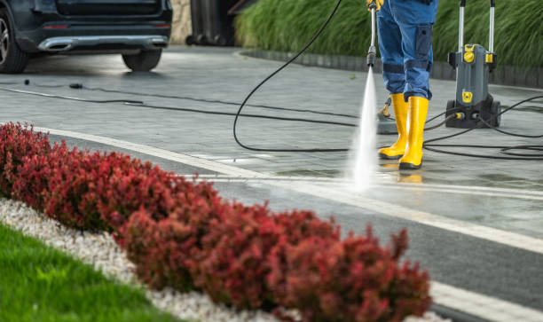 Best Vinyl Siding Pressure Washing in Buchanan Dam, TX